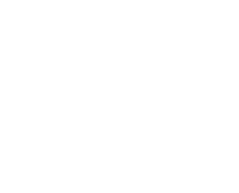 Asian American Dream